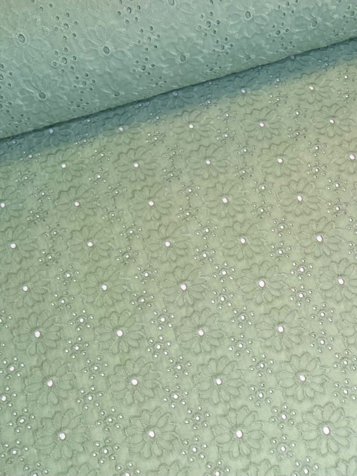 Embroidered cotton in pistachio green