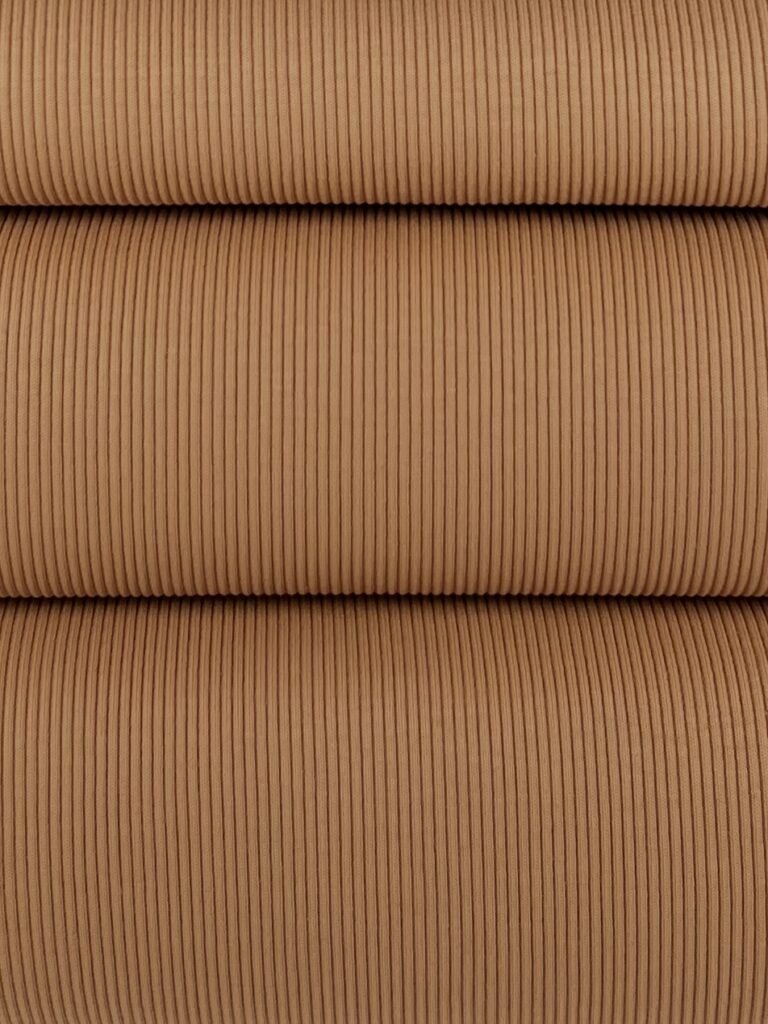 rib